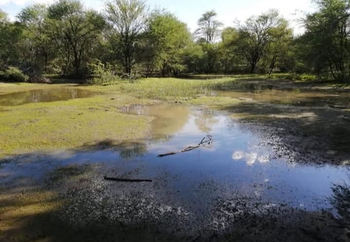 3 Bedroom Property for Sale in Marapong Limpopo