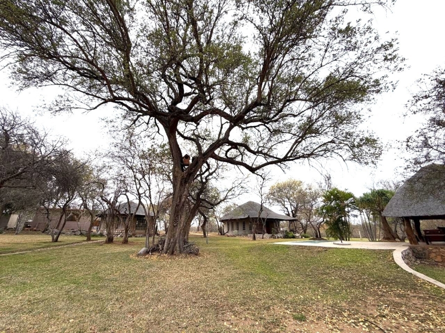 6 Bedroom Property for Sale in Ndlovumzi Limpopo