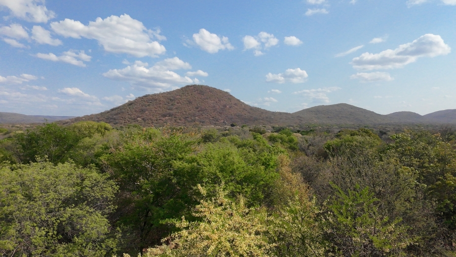 4 Bedroom Property for Sale in Lephalale Limpopo