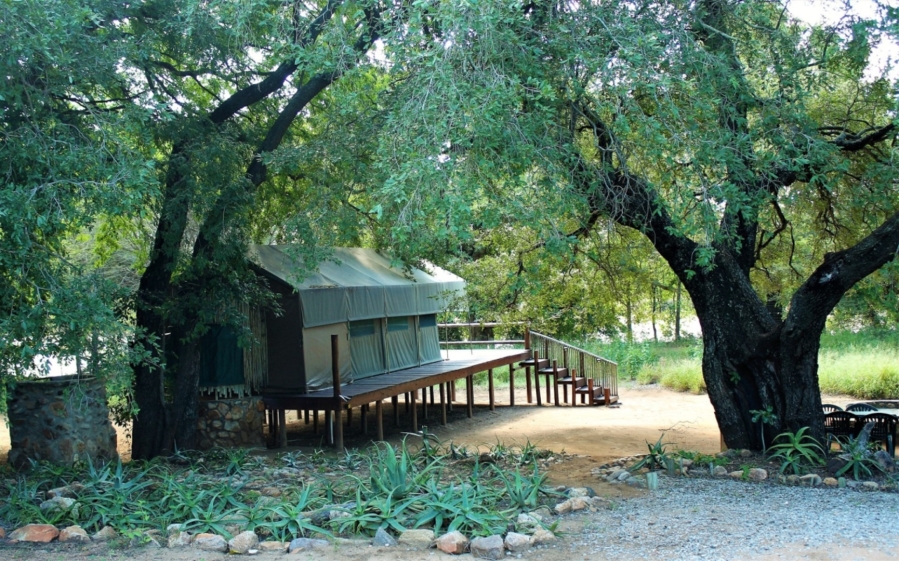 Commercial Property for Sale in Ndlovumzi Limpopo