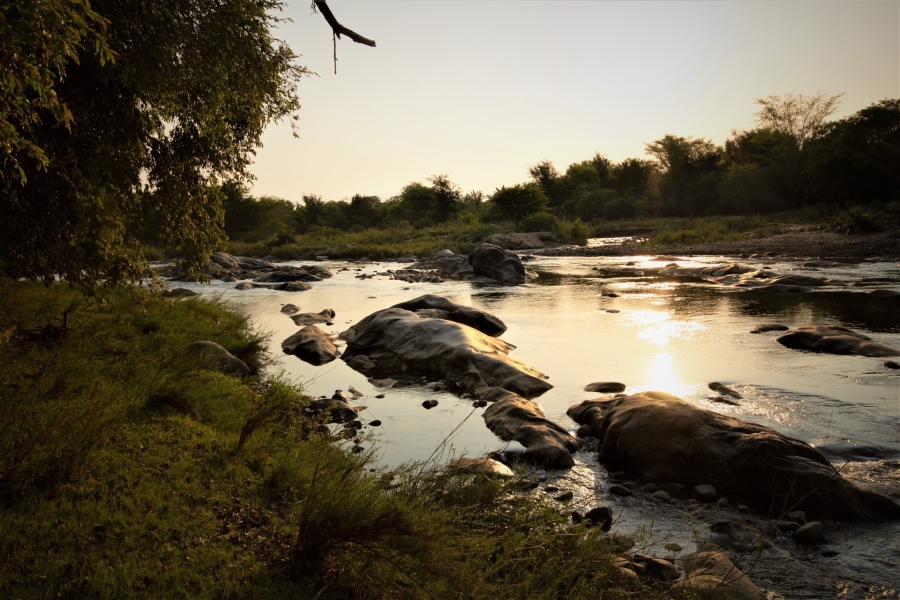 Commercial Property for Sale in Ndlovumzi Limpopo