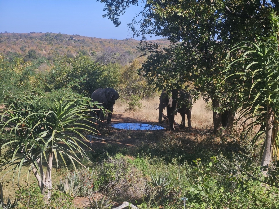 4 Bedroom Property for Sale in Grietjie Private Nature Reserve Limpopo