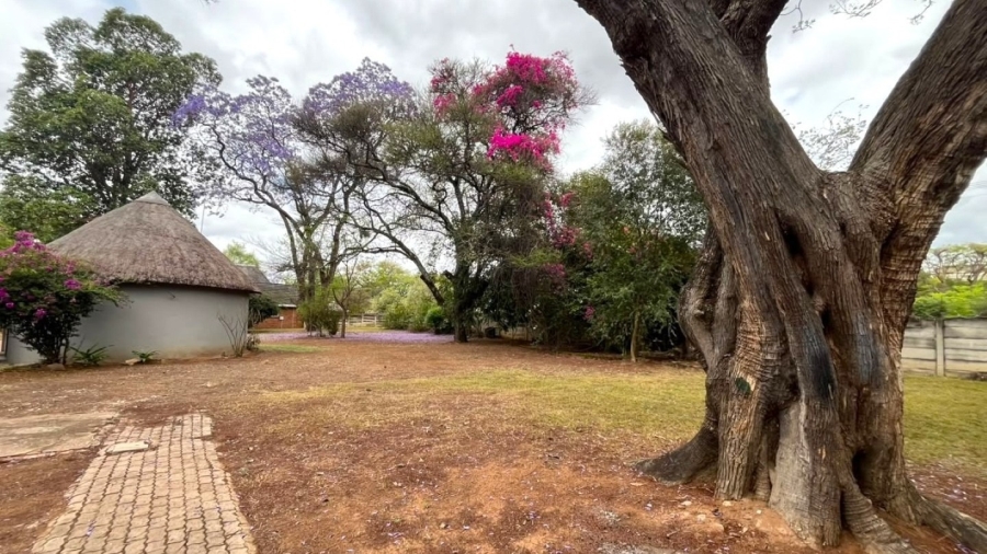 To Let 3 Bedroom Property for Rent in Modimolle Limpopo