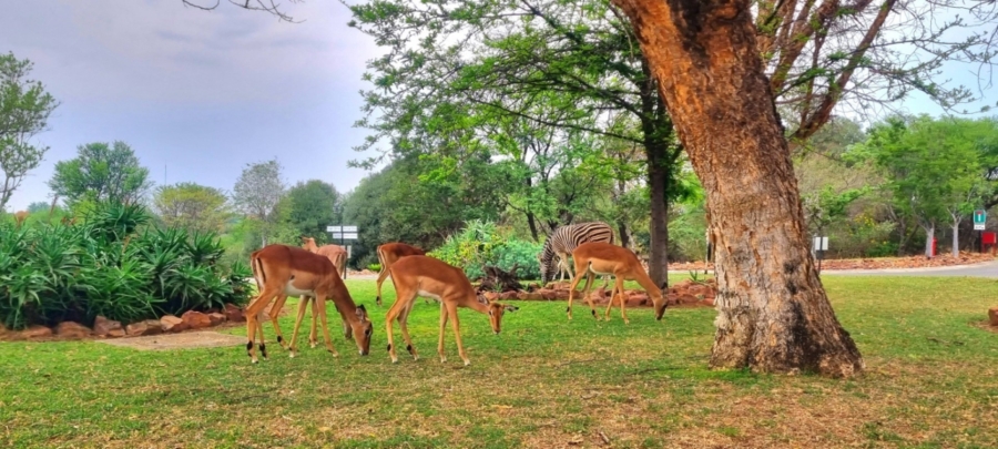 0 Bedroom Property for Sale in Koro Creek Golf Estate Limpopo
