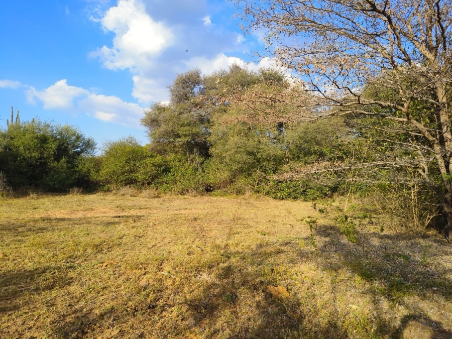 0 Bedroom Property for Sale in Bela Bela Limpopo