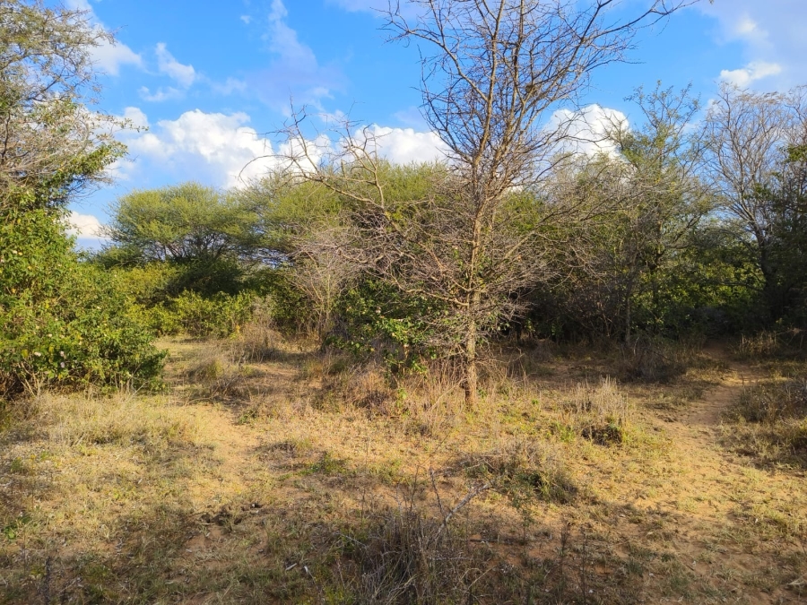 0 Bedroom Property for Sale in Bela Bela Limpopo
