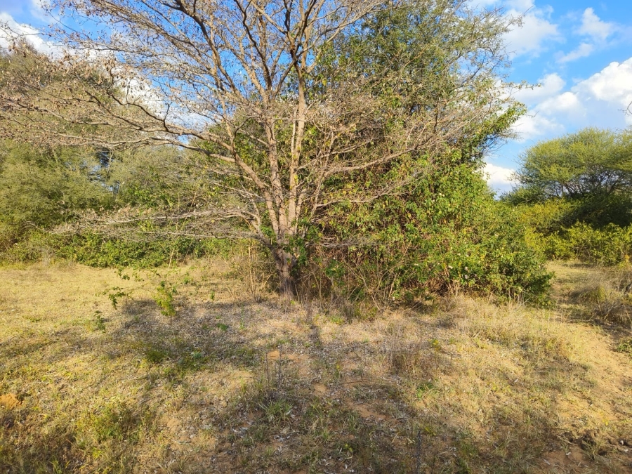0 Bedroom Property for Sale in Bela Bela Limpopo