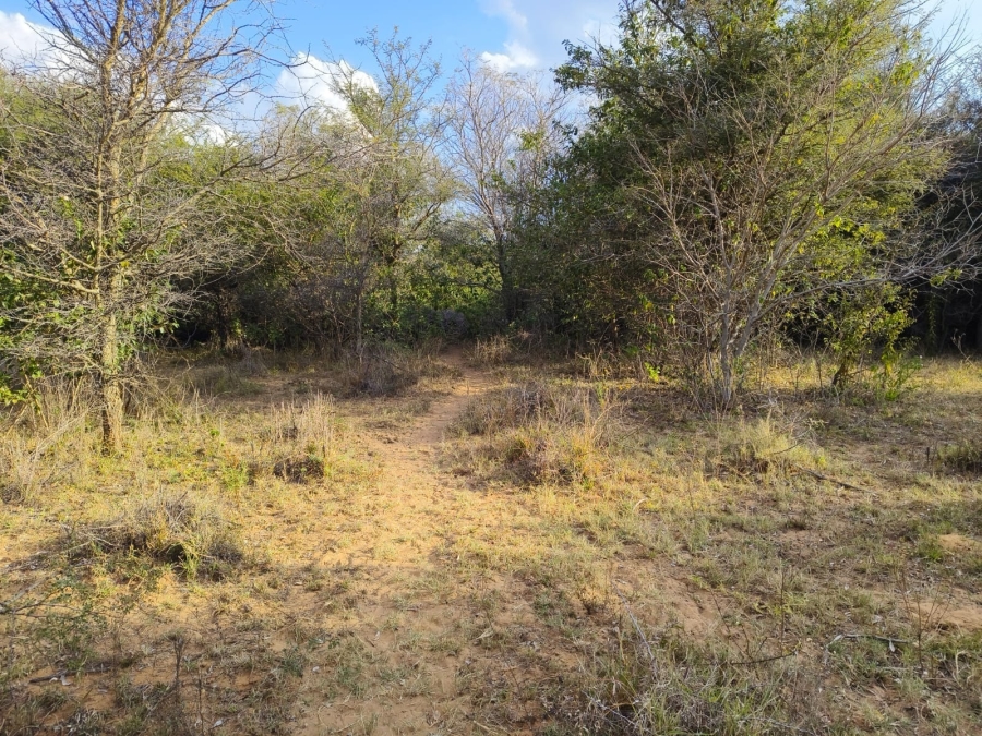 0 Bedroom Property for Sale in Bela Bela Limpopo