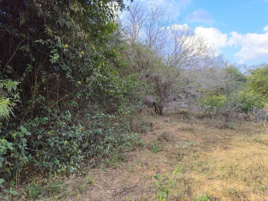 0 Bedroom Property for Sale in Bela Bela Limpopo