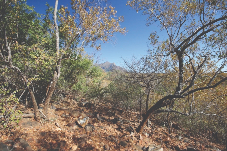 0 Bedroom Property for Sale in Canyon Game Reserve Limpopo