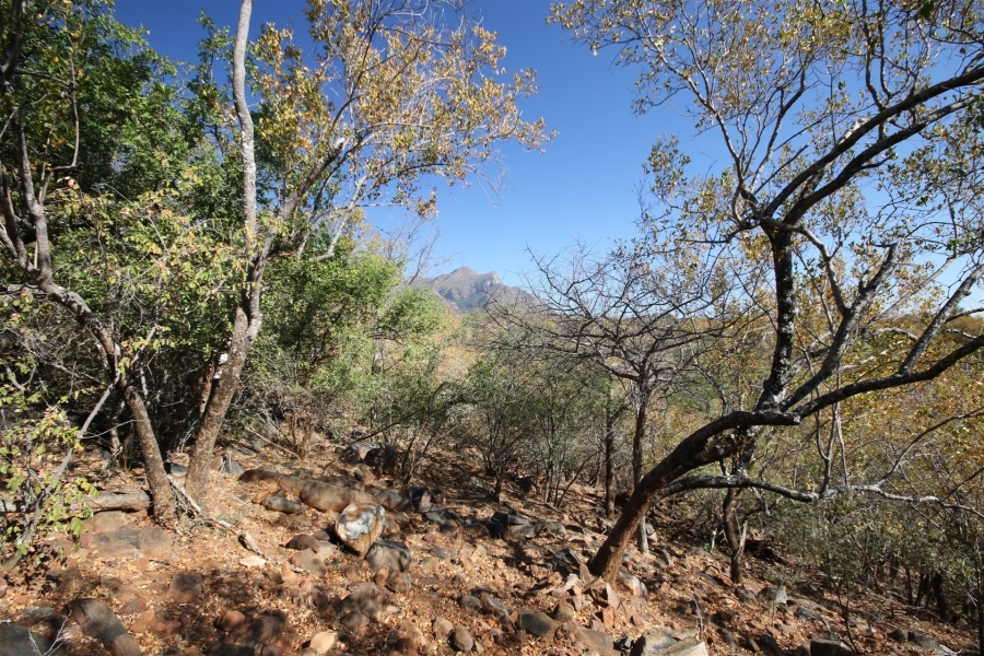 0 Bedroom Property for Sale in Canyon Game Reserve Limpopo