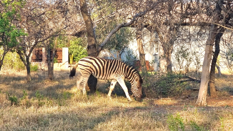 2 Bedroom Property for Sale in Koro Creek Golf Estate Limpopo