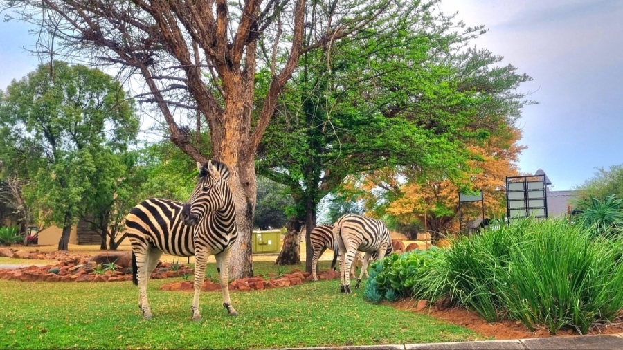 2 Bedroom Property for Sale in Koro Creek Golf Estate Limpopo