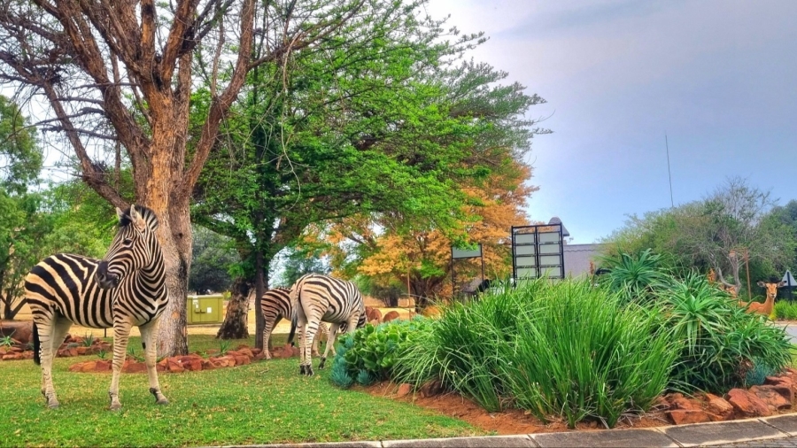 2 Bedroom Property for Sale in Koro Creek Golf Estate Limpopo
