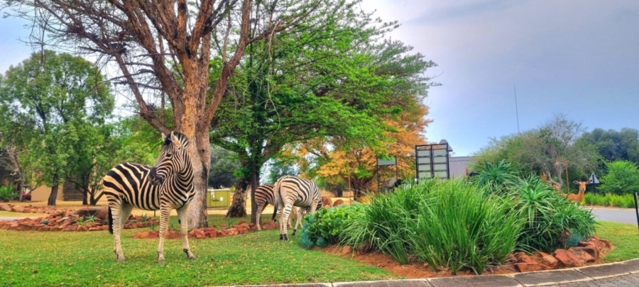 0 Bedroom Property for Sale in Koro Creek Golf Estate Limpopo