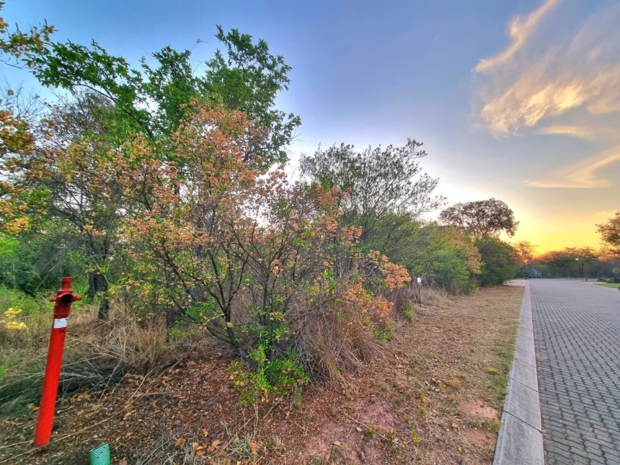 0 Bedroom Property for Sale in Koro Creek Golf Estate Limpopo