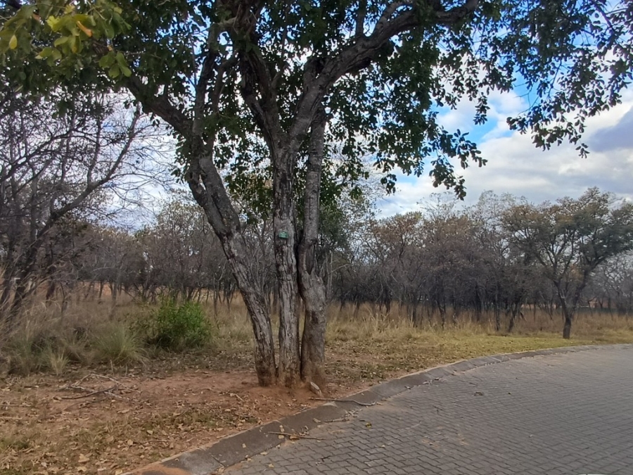 0 Bedroom Property for Sale in Koro Creek Golf Estate Limpopo