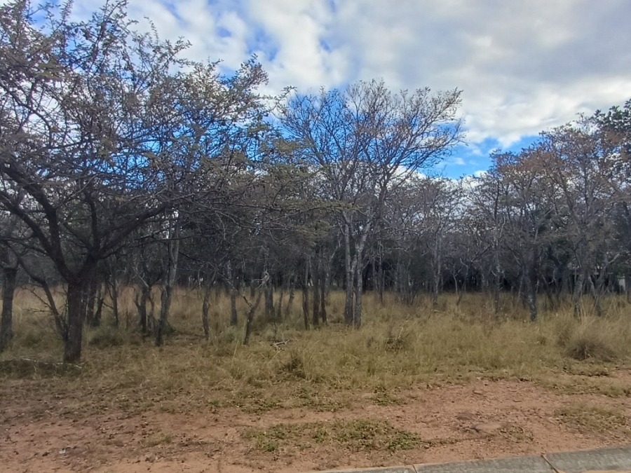 0 Bedroom Property for Sale in Koro Creek Golf Estate Limpopo