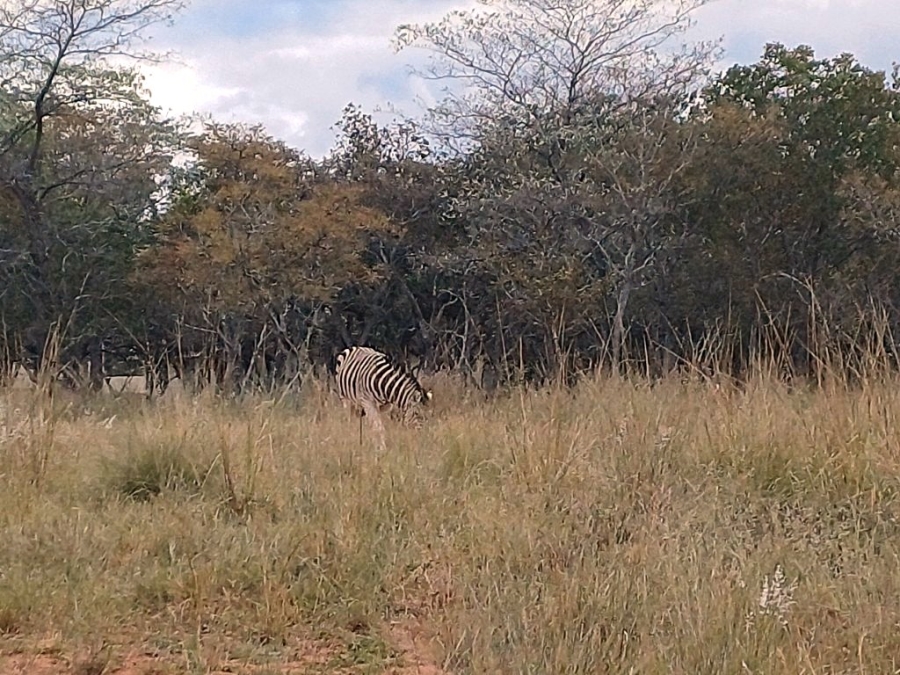 0 Bedroom Property for Sale in Koro Creek Golf Estate Limpopo