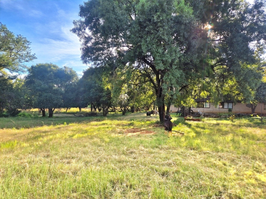 3 Bedroom Property for Sale in Mookgopong Limpopo