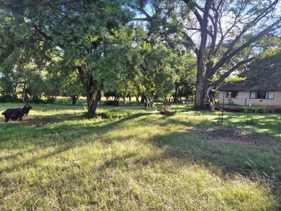 3 Bedroom Property for Sale in Mookgopong Limpopo