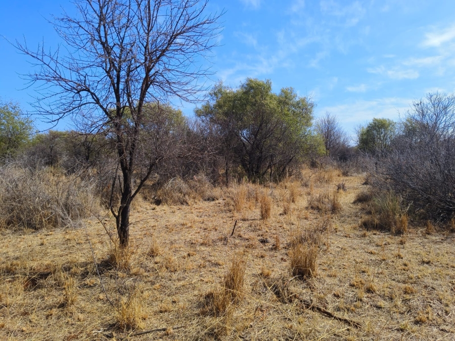 0 Bedroom Property for Sale in Bela Bela Limpopo