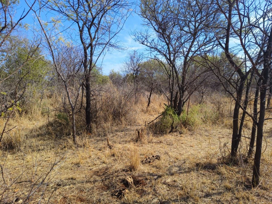 0 Bedroom Property for Sale in Bela Bela Limpopo
