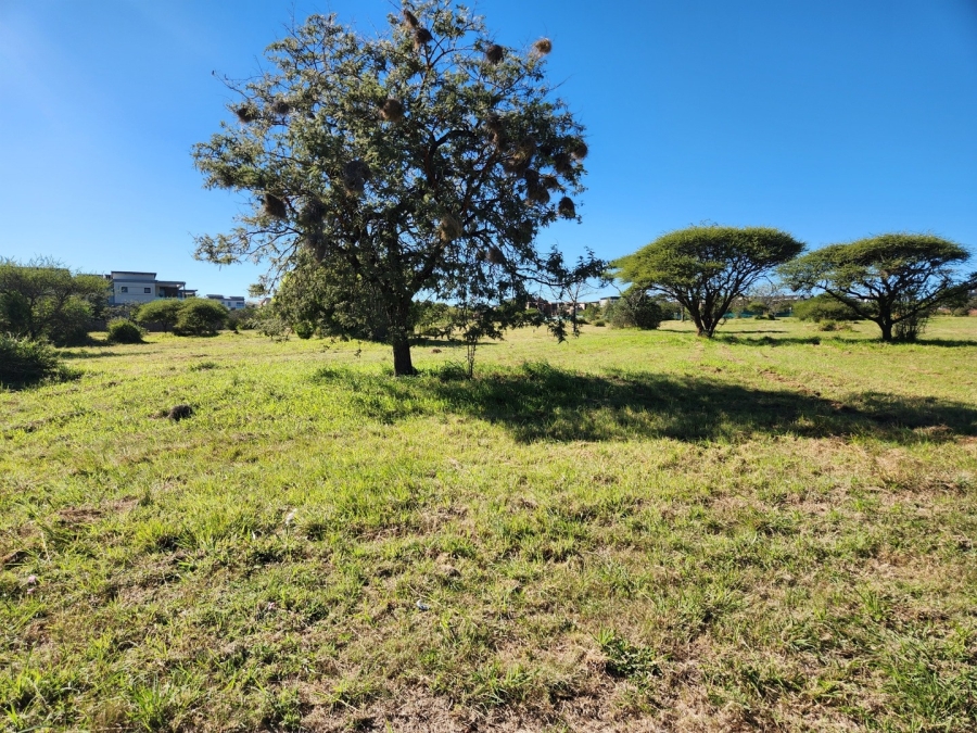 0 Bedroom Property for Sale in The Aloes Lifestyle Estate Limpopo