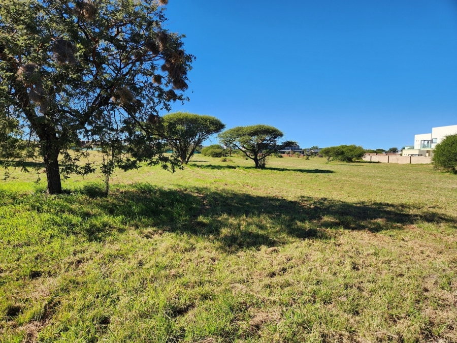 0 Bedroom Property for Sale in The Aloes Lifestyle Estate Limpopo