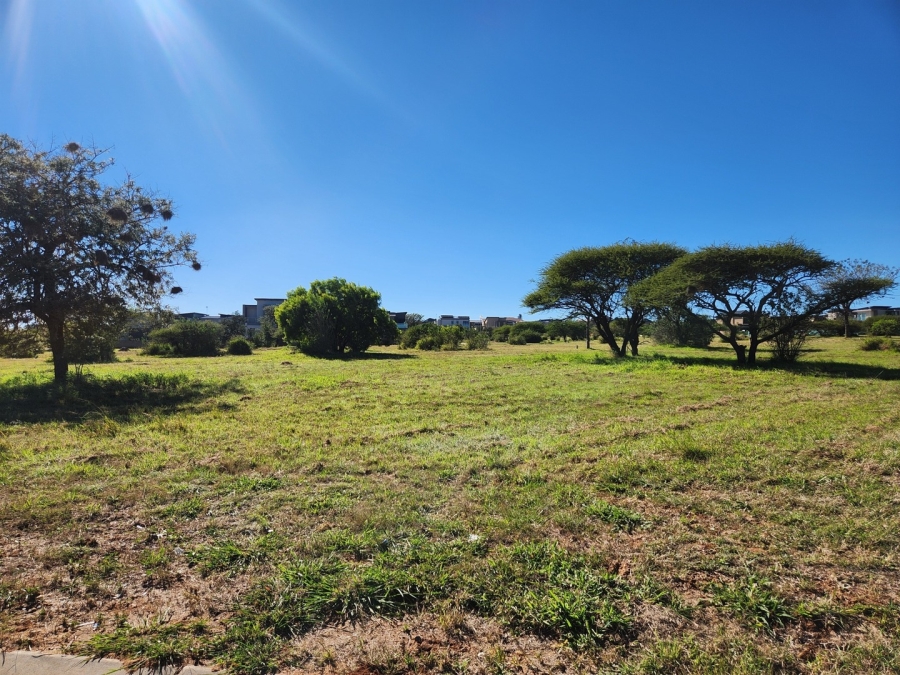 0 Bedroom Property for Sale in The Aloes Lifestyle Estate Limpopo