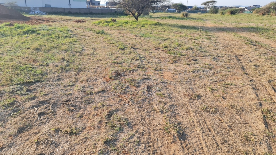 0 Bedroom Property for Sale in The Aloes Lifestyle Estate Limpopo