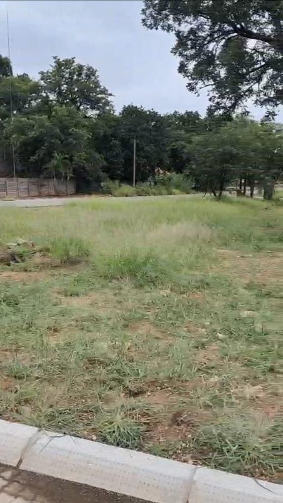 0 Bedroom Property for Sale in Phalaborwa Limpopo