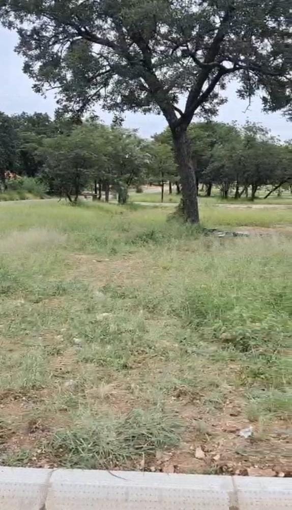 0 Bedroom Property for Sale in Phalaborwa Limpopo