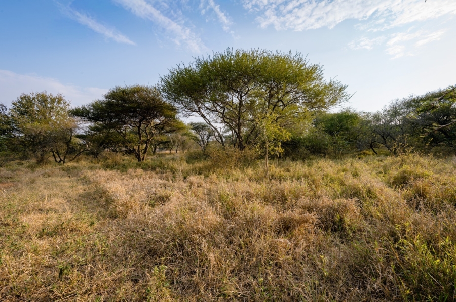 To Let 1 Bedroom Property for Rent in Hoedspruit Limpopo