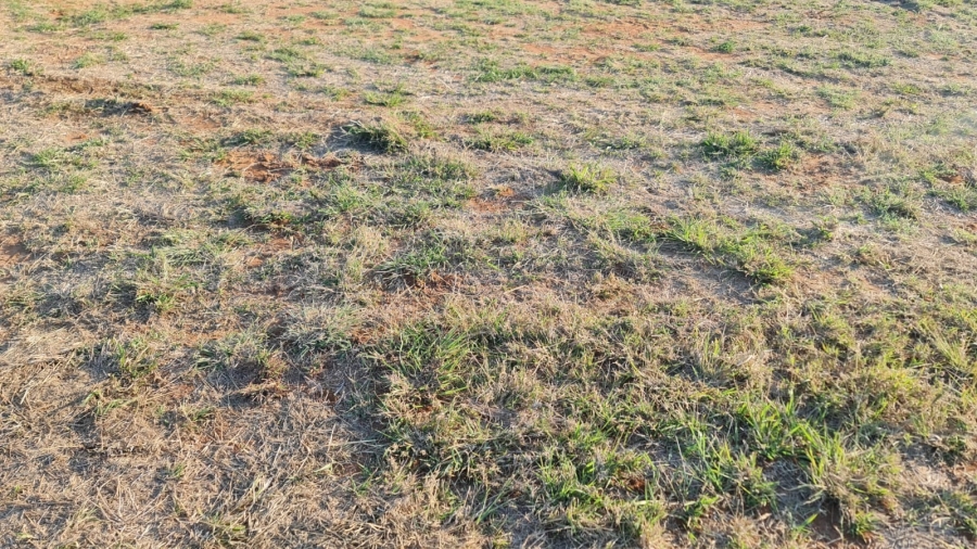 0 Bedroom Property for Sale in The Aloes Lifestyle Estate Limpopo
