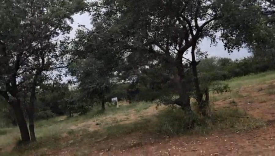 0 Bedroom Property for Sale in Phalaborwa Limpopo