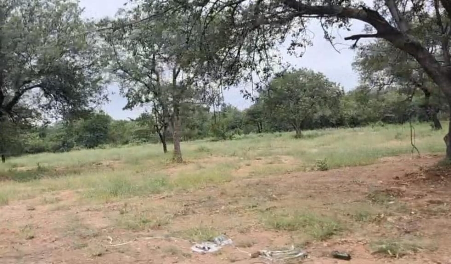 0 Bedroom Property for Sale in Phalaborwa Limpopo