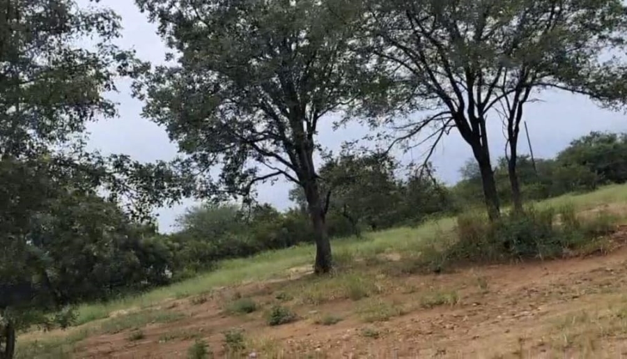 0 Bedroom Property for Sale in Phalaborwa Limpopo