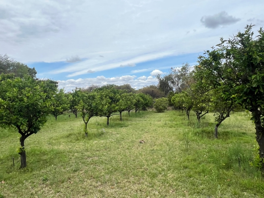 39 Bedroom Property for Sale in Mookgopong Rural Limpopo