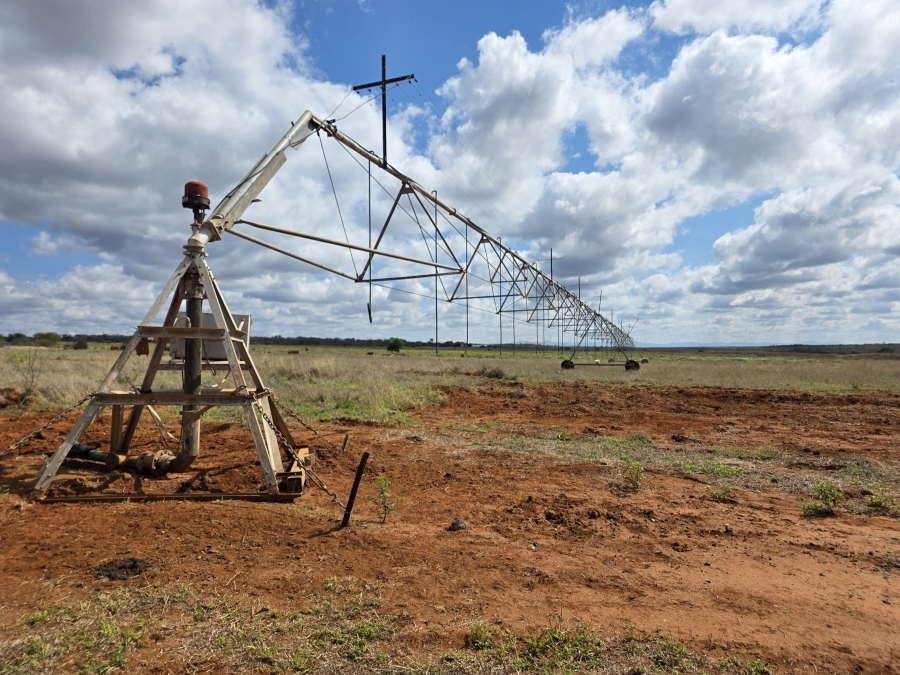 0 Bedroom Property for Sale in Dendron Limpopo