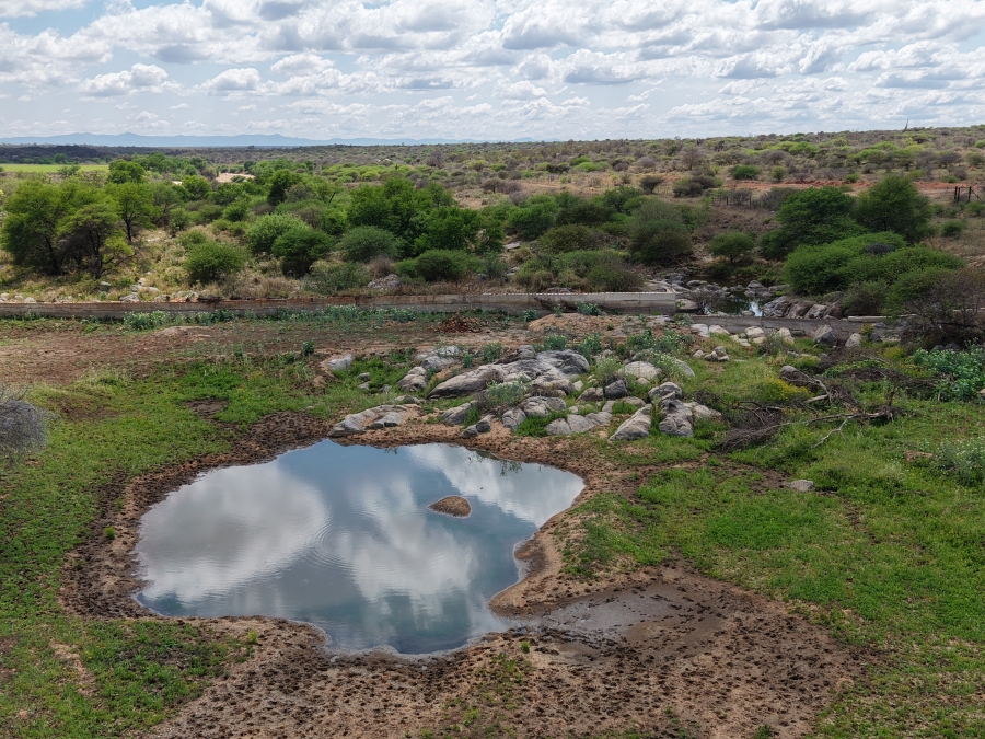 0 Bedroom Property for Sale in Dendron Limpopo