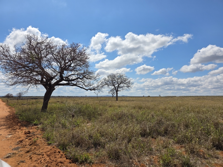 0 Bedroom Property for Sale in Dendron Limpopo