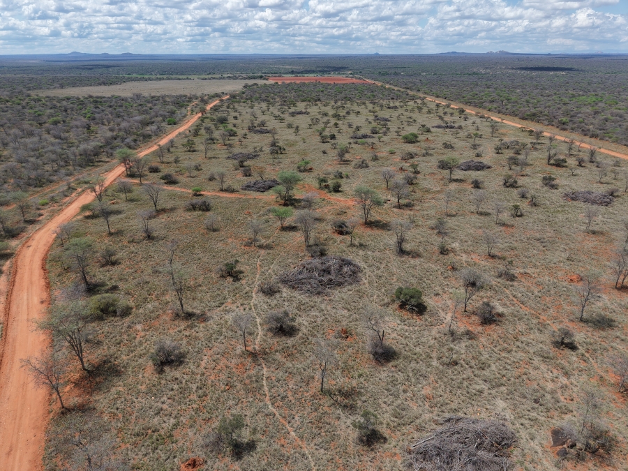 0 Bedroom Property for Sale in Dendron Limpopo