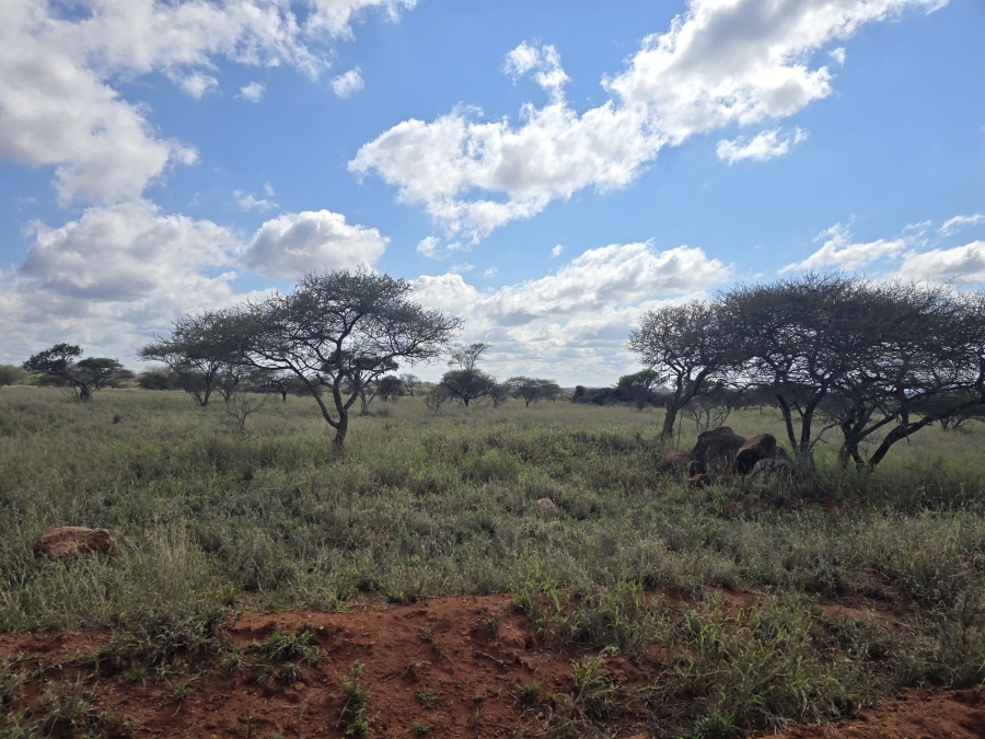 0 Bedroom Property for Sale in Dendron Limpopo