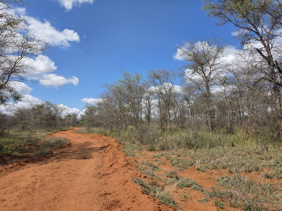 0 Bedroom Property for Sale in Dendron Limpopo