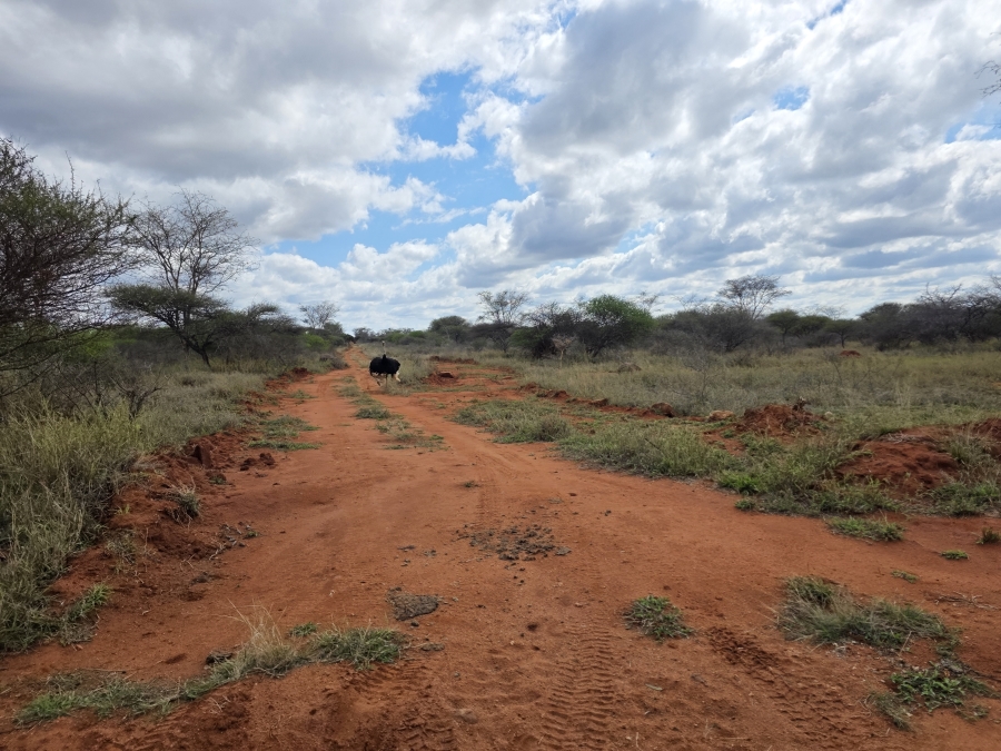0 Bedroom Property for Sale in Dendron Limpopo