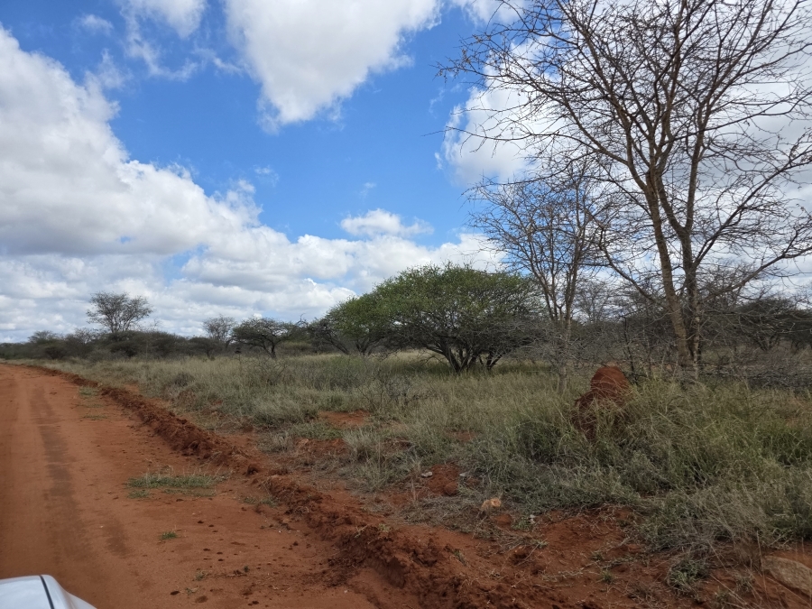 0 Bedroom Property for Sale in Dendron Limpopo