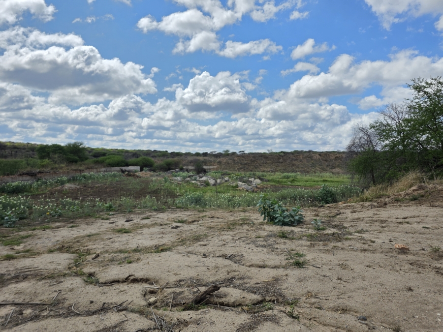 0 Bedroom Property for Sale in Dendron Limpopo