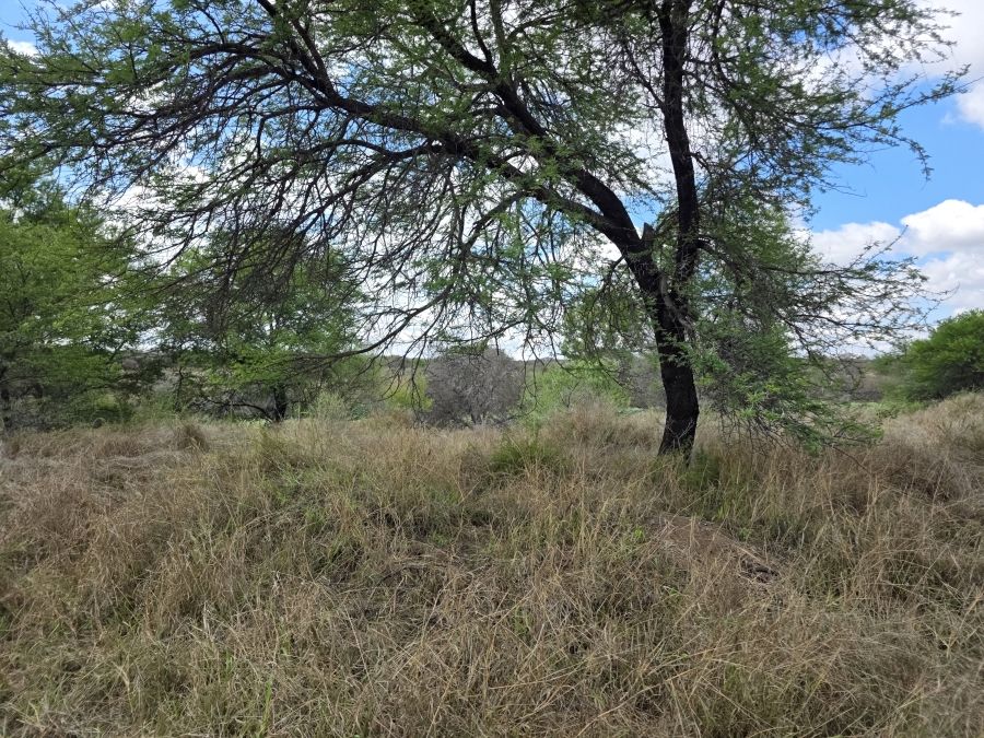 0 Bedroom Property for Sale in Dendron Limpopo