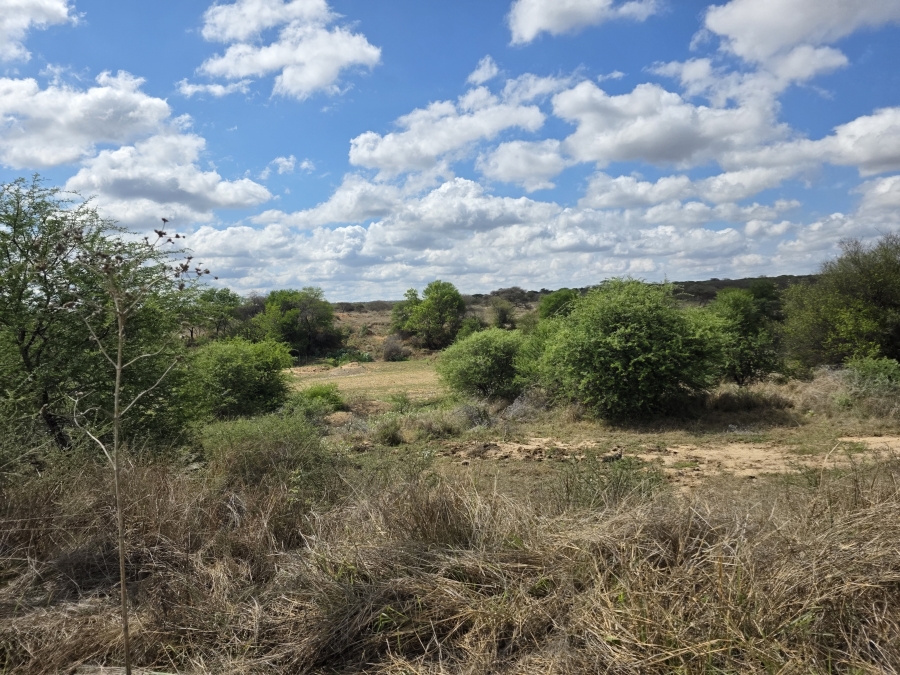 0 Bedroom Property for Sale in Dendron Limpopo